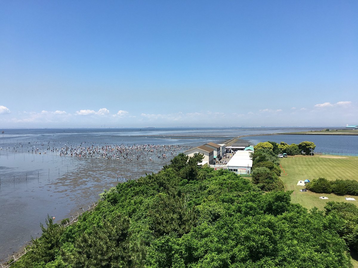 🏞️ 도리이자키 해변공원 (토리이자키 카이힌 코엔) 이미지 4